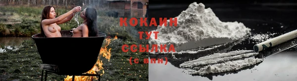 мяу мяу мука Алзамай