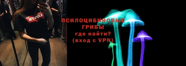 мяу мяу мука Алзамай