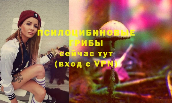 apvp Алексеевка
