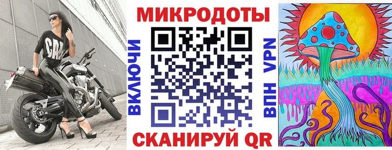 Псилоцибиновые грибы Psilocybe Перевоз